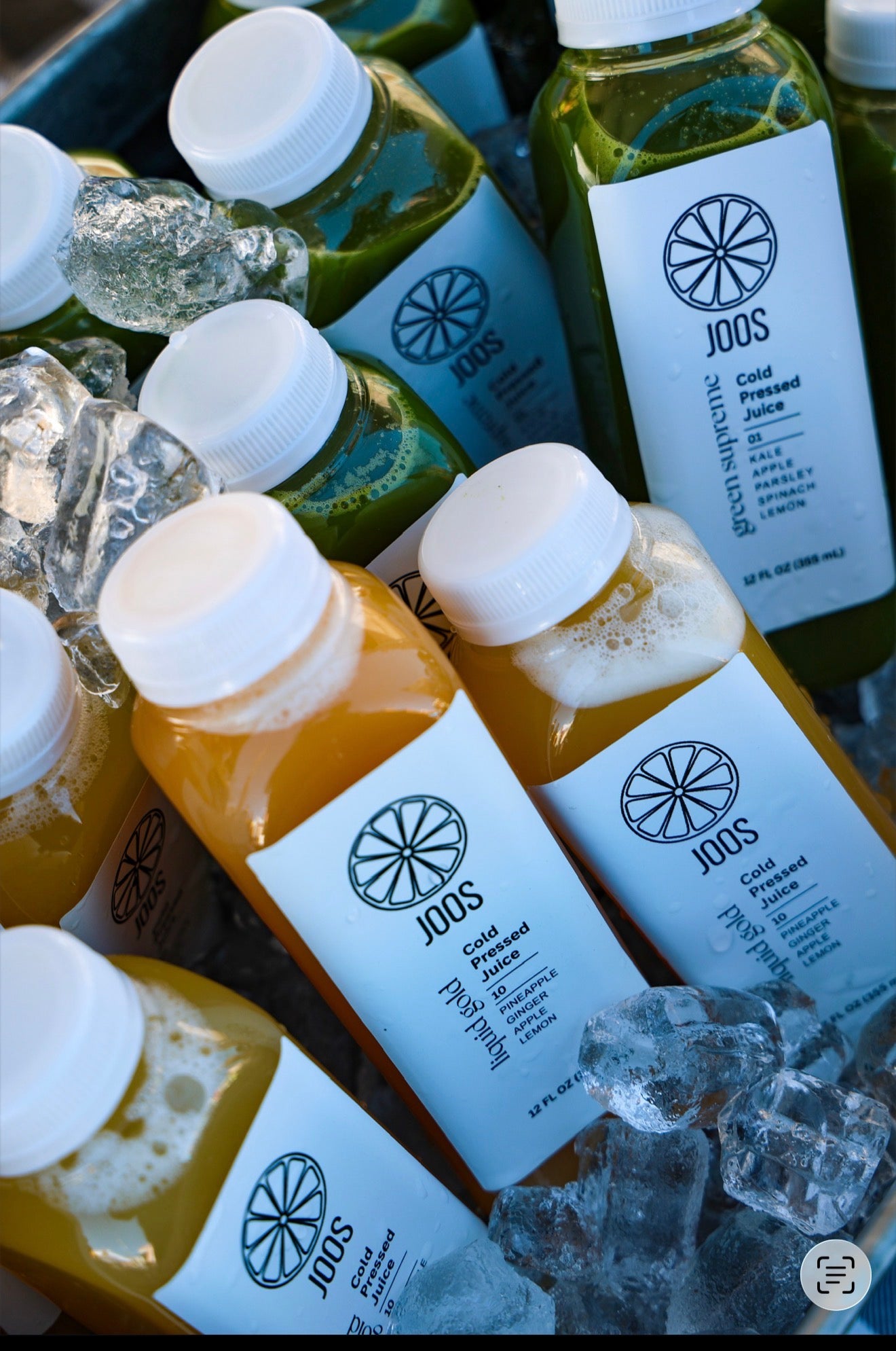 6 JOOS Sample Pack