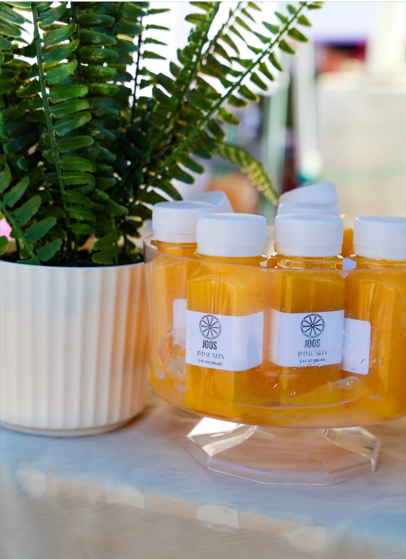 Wellness Shot Pack 10